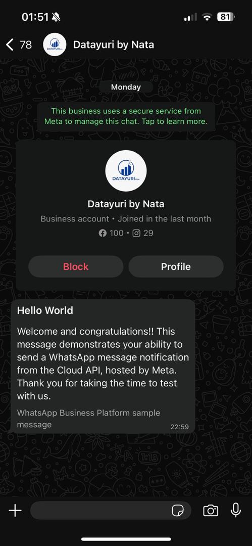 WhatsApp Chat Interface